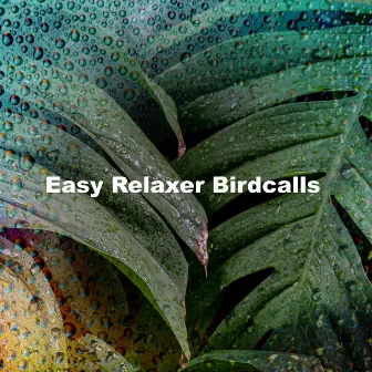 Easy Relaxer Birdcalls by Unknown Artist