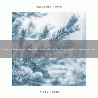 Rejoice and Happiness Under a Mistletoe with Soothing Songs and Winter Relaxing Sounds by Christmas Baby Noise