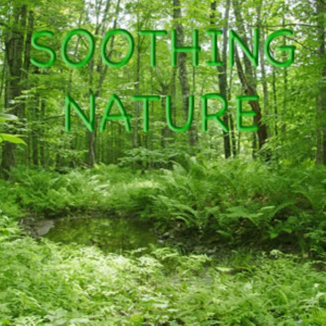 Soothing Nature