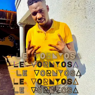 Le Vornyosa by Laba Ntwana