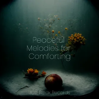 Peaceful Melodies for Comforting by Musica romantica instrumental