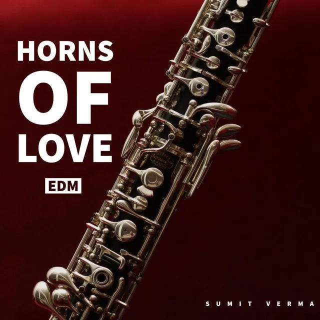 Horns Of Love | EDM