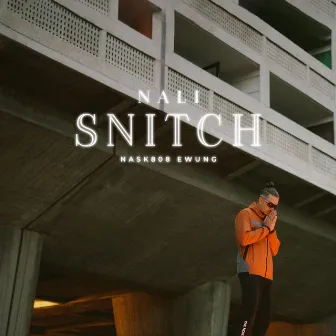 Snitch by Nali