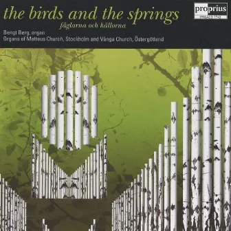 Berg, Bengt: Faglarna Och Kallorna (The Birds and the Springs) by Bengt Berg