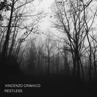 Restless by Vincenzo Crimaco