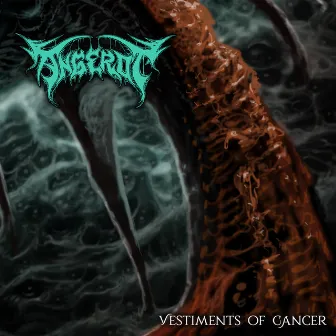 Vestiments of Cancer by Angerot