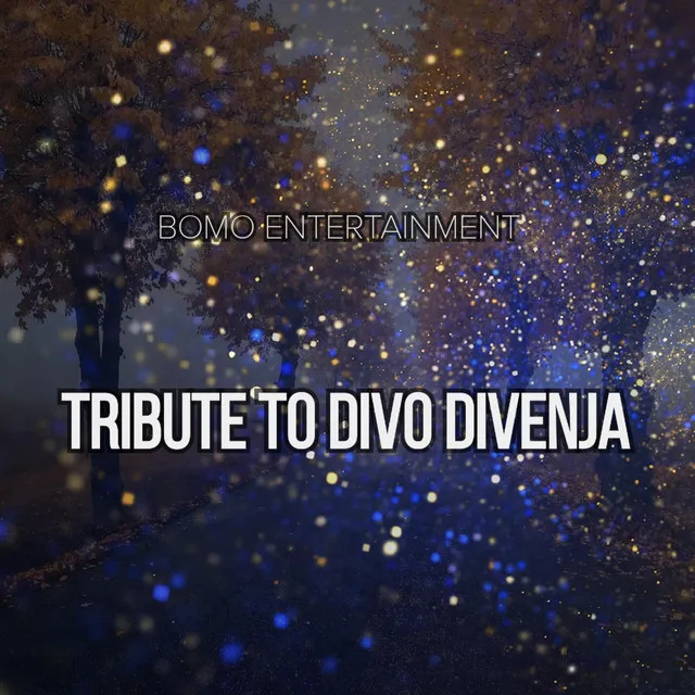 Tribute To Divo Divenja