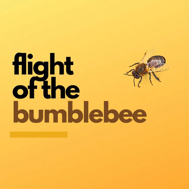 Flight of the Bumblebee