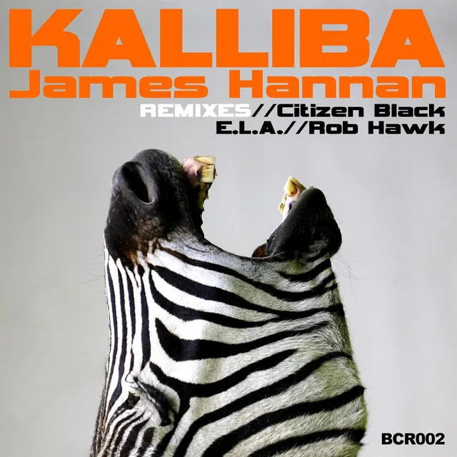 Kalliba - Citizen Black Remix