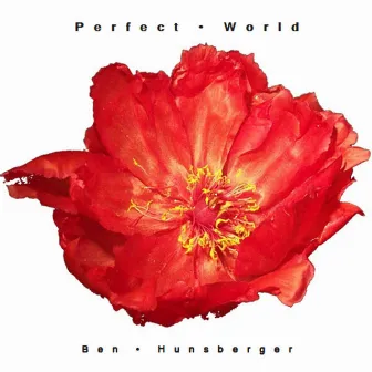 Perfect World by Ben Hunsberger