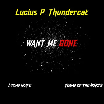 Want Me Gone (Radio Edit) by Lucas Wolfe