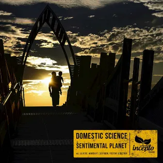 Sentimental Planet by Domestic Science