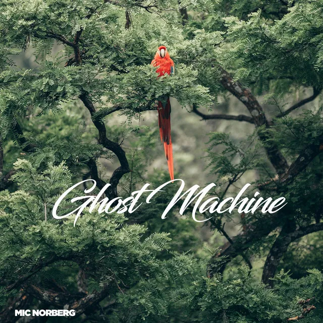 Ghost Machine