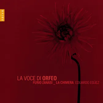 La Voce Di Orfeo by Furio Zanasi