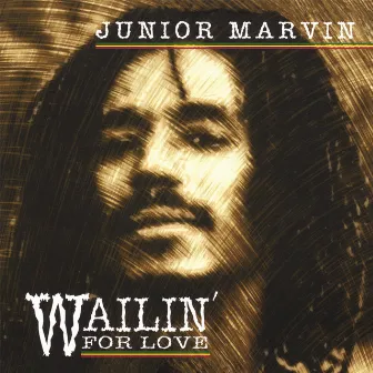 Wailin' For Love by Junior Marvin