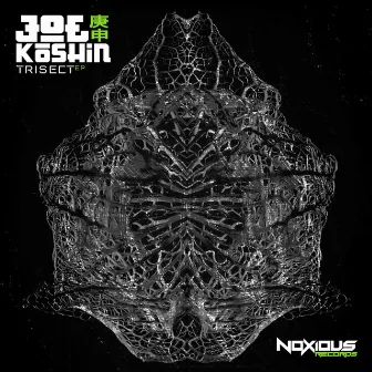 Trisect by Joe Koshin