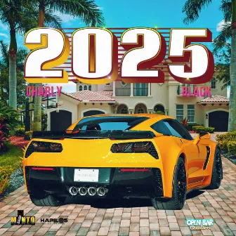 2025 by Minto Play Da Riddim