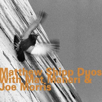 Matthew Shipp Duos with Mat Maneri & Joe Morris by Mat Maneri