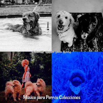 Calmante Musica para Perros by Música para Perros Colecciones