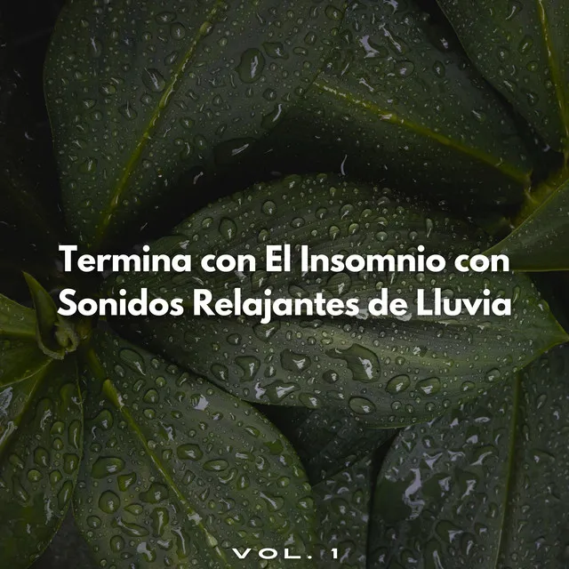 Termina Con El Insomnio Con Sonidos Relajantes De Lluvia Vol. 1