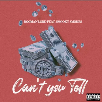 Can't You Tell by Booman Lord