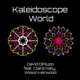 Kaleidoscope World by David DiMuzio