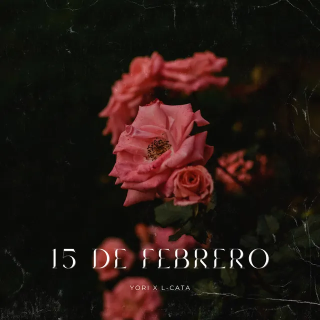 15 De Febrero