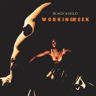 Black & Gold by Working Week