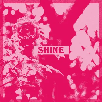 Shine by Cole The VII