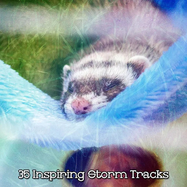 35 Inspiring Storm Tracks