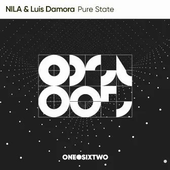 Pure State by Nila