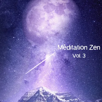 Méditation zen, Vol. 3 by Unknown Artist