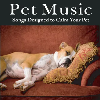 Pet Music: Songs Designed to Calm Your Pet Music for Pets, Music for Dogs, Music for Cats by Pet Music Artists