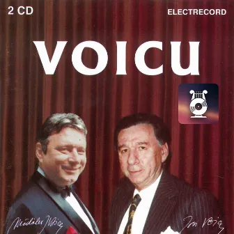 Voicu, Vol. II by Ion Voicu