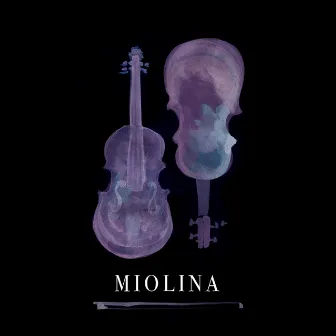 Miolina by Miolina