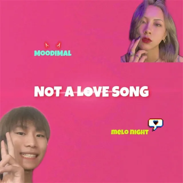 NOT A LOVE SONG