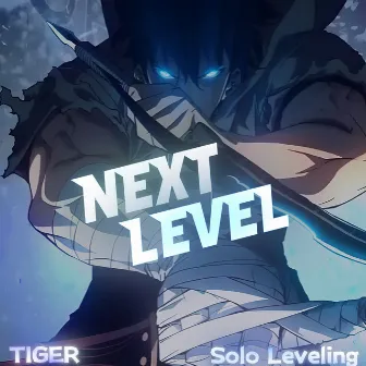 Next Level- Solo Leveling by TIGER