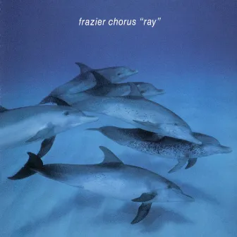 Ray by Frazier Chorus