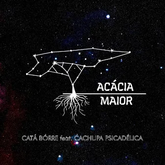 Catá Bórre by Acácia Maior