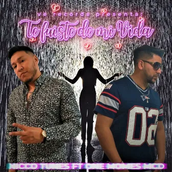 te fuiste de mi vida by nicco tunes