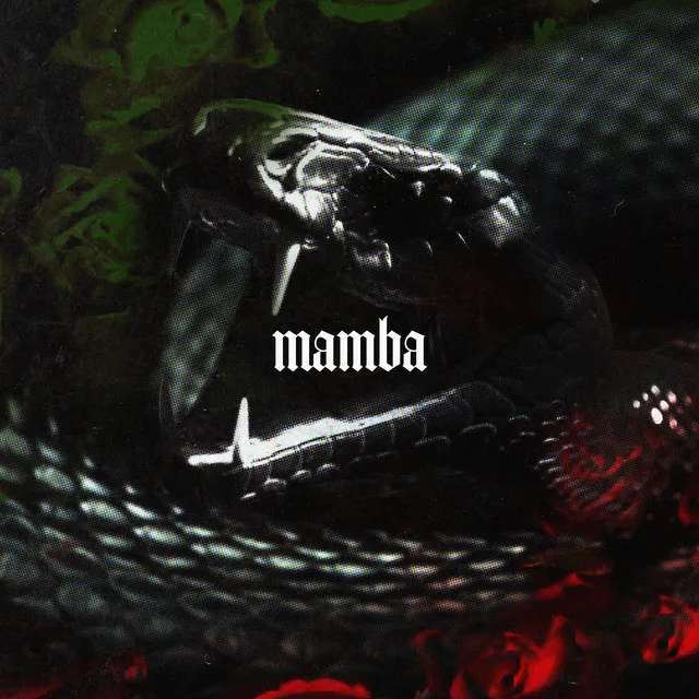 MAMBA