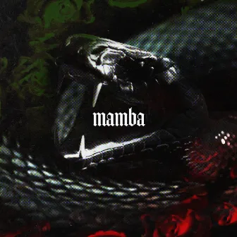 MAMBA by BassNoise