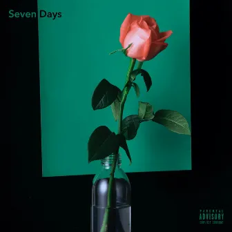 Seven Days by 