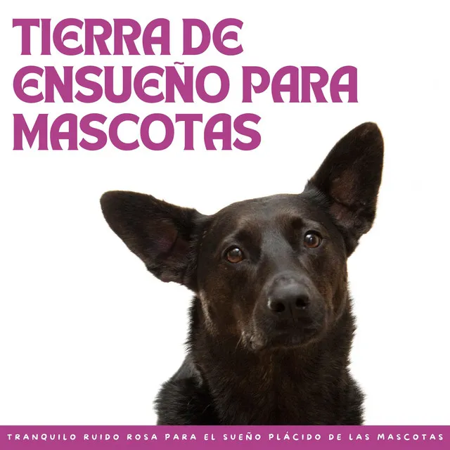 Tierra De Ensueño Para Mascotas: Tranquilo Ruido Rosa Para El Sueño Plácido De Las Mascotas