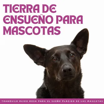 Tierra De Ensueño Para Mascotas: Tranquilo Ruido Rosa Para El Sueño Plácido De Las Mascotas by Ruido rosa para dormir