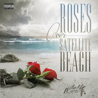 Roses over Satellite Beach by Willie HyN