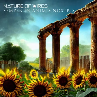 Semper in Animis Nostris by Nature of Wires