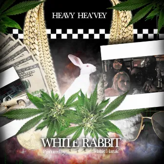 White Rabbit by Heavy Hea'vey