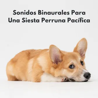 Sonidos Binaurales Para Una Siesta Perruna Pacífica by Perro radio 1