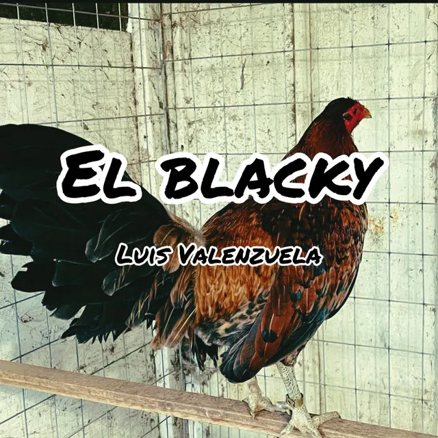 El Blacky